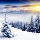 현기 자동차정비 이미지