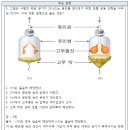 전농중학교 이미지