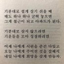 아인플라워 이미지