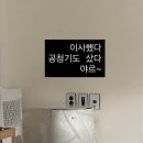 만토 | 2026년 봄 일상