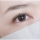 대전 둔산동속눈썹펌 내돈내산 직접 다녀온 페이스터치 후기