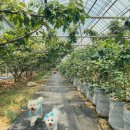 청학농장 이미지