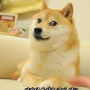 건대오봉집 이미지