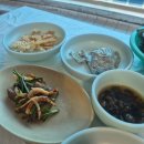 대자연가든 | 횡성 대자연가든 둘이서 송어회 1kg에 매운탕 솔직 후기 (라면사리 필수)