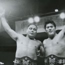 김일농장 이미지