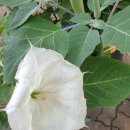 000-1-000008 이미지