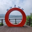 고삼지둥굴레좌대