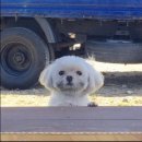 오터솝