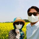 하늘6(유채밭) 이미지