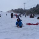 또래(어울림)어린이집 이미지