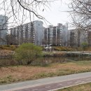 비산화성파크드림 이미지