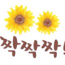 강원도 횡성군 횡성읍 문정로 이미지