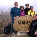 동산애 이미지