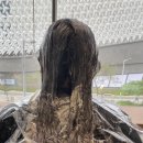 리챠드프로헤어둔산점
