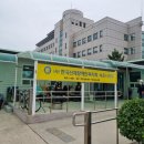 사)한국신체장애인복지회속초지부 이미지