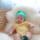 슬로우버드 이미지