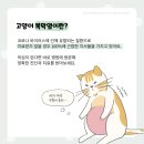 장호원동물병원