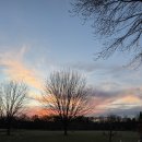 Sunsets 이미지