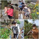 올리브나무어린이집 이미지