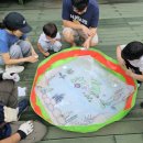 인천나비공원 이미지