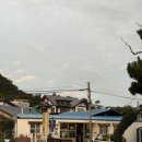 GS25 송림본점 | 가성비 최고! 경주 차박·캠핑 명소 관성솔밭해변