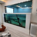 피터팬 펜션 이미지