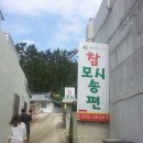 영광모시송편카페