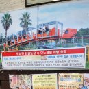 해보라농장 | 제주 여름 감귤따기체험 가능한 곳 최남단감귤농장 내돈내산 후기
