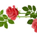 은하사세탁소 이미지