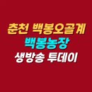 백봉춘천농장 이미지