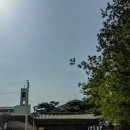 조운건설(주) - 강남구 역삼동 | 조운건설(주)