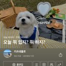 갤러리아광교지오다노 | 굿바이 2023년~ (네이버 블로그 2023년 연말결산)