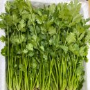 채열농장 이미지