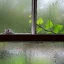 바람소리 이미지