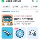주식회사 갤럭시관광 | 삼성 화재 여행자 보험 완벽 가이드