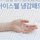 아이스웰