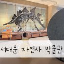 터치 | [서울 서대문구]서대문 자연서박물관 5살 아이와 다녀온 후기 주차 예약 팁 입장료