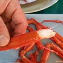 홍게천국 이미지