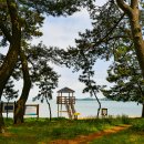 나로우주해수욕장 이미지