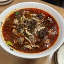건대 봉자마라탕 최자로드 맛집 내돈내산 후기 찐 중국식 마라탕