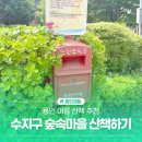 일대마을 | 용인 산책 할만한곳, 수지구 숲속마을 일대 여름 산책 후기