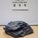 수석연합회 회원전 티스토리