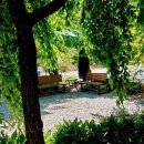 나무향가득펜션 이미지