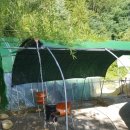 구곡농장 이미지