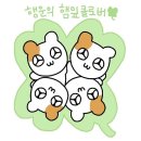 김용태 | 김용태, ≪가짜 감정≫ 후기