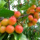 하금농장 이미지