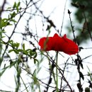 운정초등학교 이미지