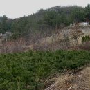 성여완 선생 묘 이미지