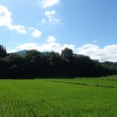남도 순례길 3- 보성~구례 18번 국도 역사 위에서