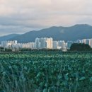 대구선반야월공원(괴전동) 이미지